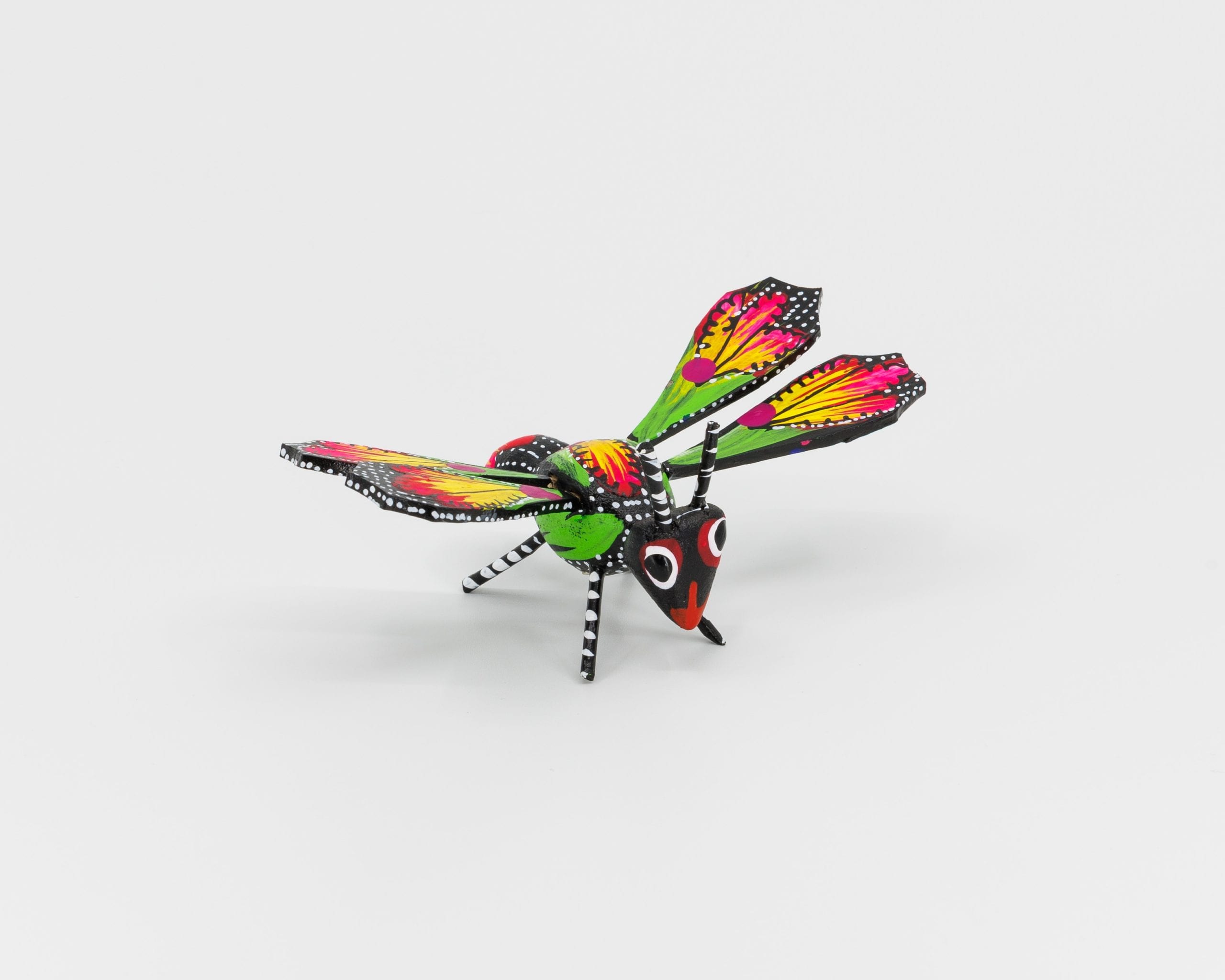 libellule noire et bleue – Image 2