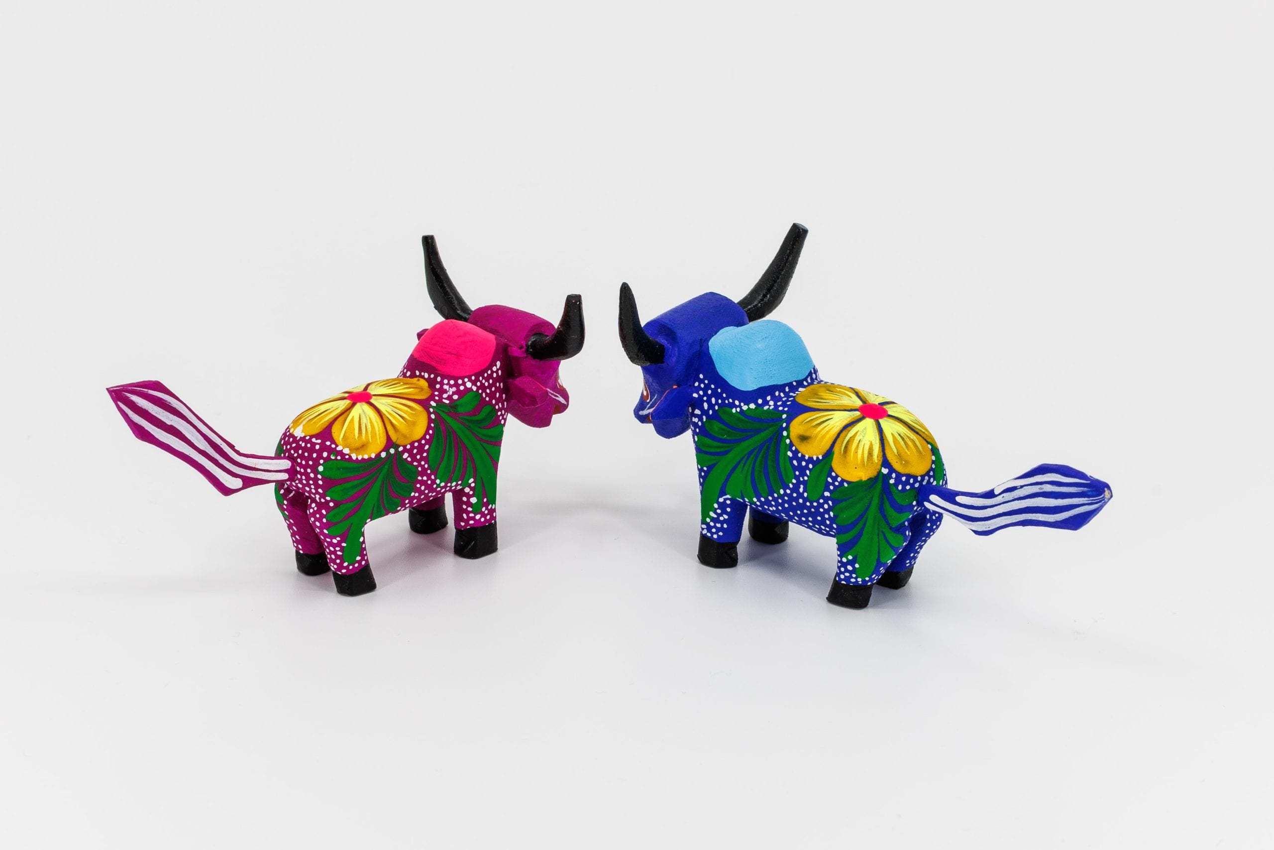 Couple de Zébus roses et bleus – Image 3