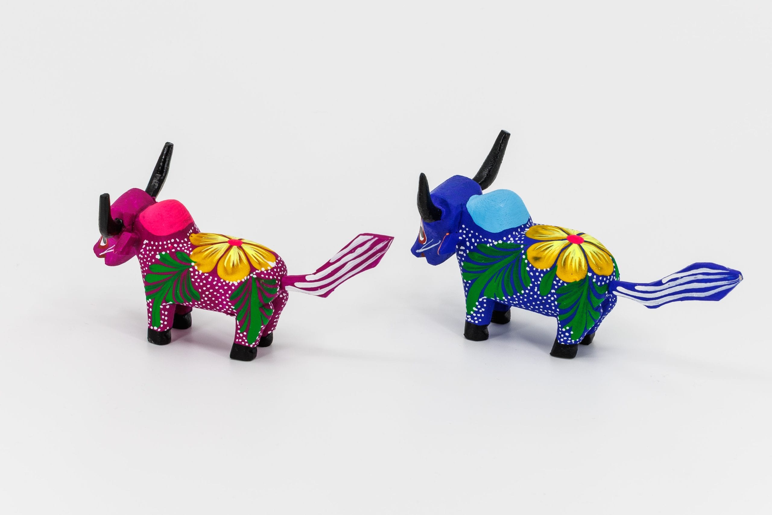 Couple de Zébus roses et bleus – Image 5