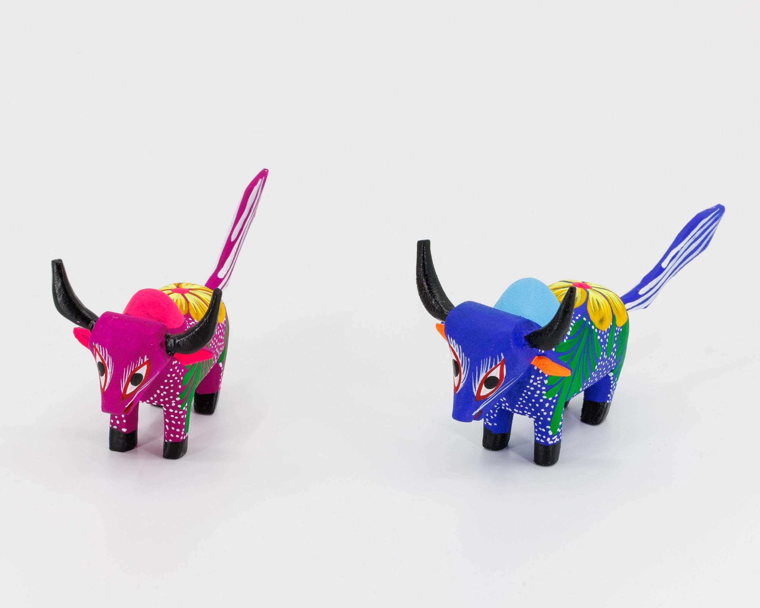 Couple de Zébus roses et bleus – Image 4