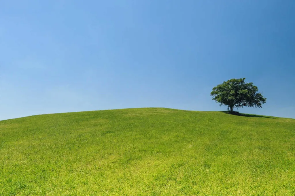 formation en environnement et développement durable