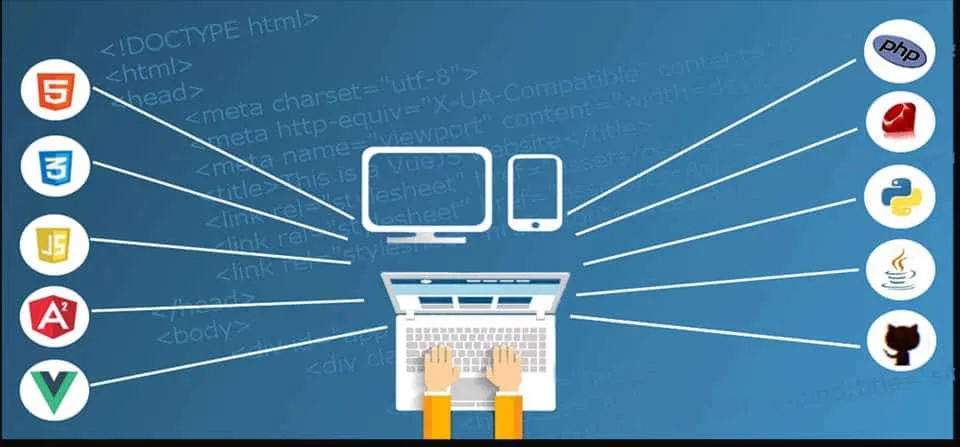 metier level developper