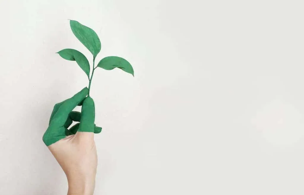greentech recrutement